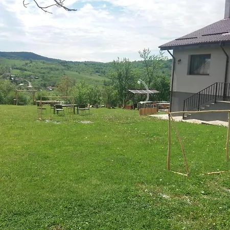 Livada De Zmeura * Draghici